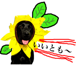 Black Labrador OHANA sticker #11821614