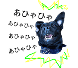 Black Labrador OHANA sticker #11821615