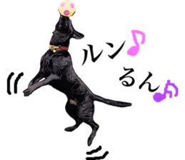 Black Labrador OHANA sticker #11821623