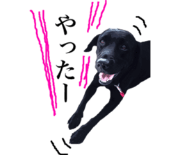 Black Labrador OHANA sticker #11821625
