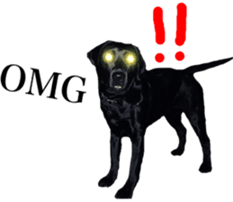 Black Labrador OHANA sticker #11821627