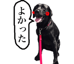 Black Labrador OHANA sticker #11821628
