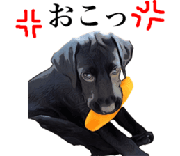Black Labrador OHANA sticker #11821631