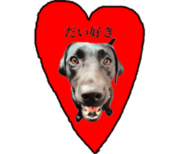 Black Labrador OHANA sticker #11821633