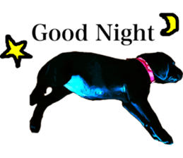 Black Labrador OHANA sticker #11821635