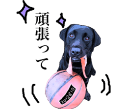 Black Labrador OHANA sticker #11821636