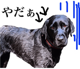 Black Labrador OHANA sticker #11821637