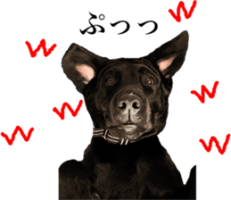 Black Labrador OHANA sticker #11821638