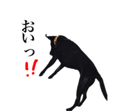 Black Labrador OHANA sticker #11821639