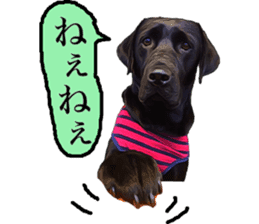 Black Labrador OHANA sticker #11821641