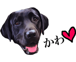 Black Labrador OHANA sticker #11821643