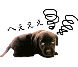 Black Labrador OHANA sticker #11821648