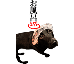 Black Labrador OHANA sticker #11821649