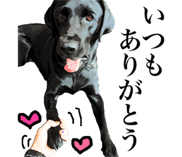Black Labrador OHANA sticker #11821650