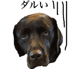 Black Labrador OHANA sticker #11821651
