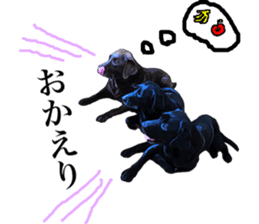 Black Labrador OHANA sticker #11821653