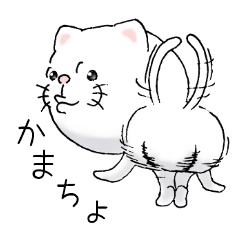 cat'sman for private actions 6