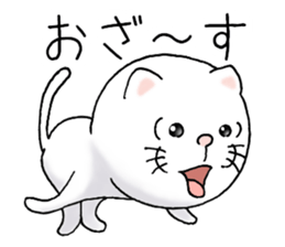 cat'sman for private actions 6 sticker #11823774