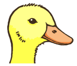 Kawaii!! Duck sticker #11824491