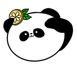 POKAPOKA PANDA sticker #11824799