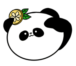 POKAPOKA PANDA sticker #11824799