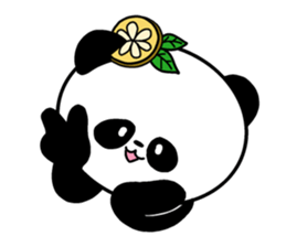 POKAPOKA PANDA sticker #11824801