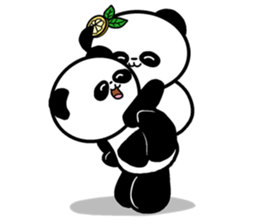 POKAPOKA PANDA sticker #11824821