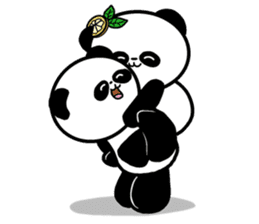 POKAPOKA PANDA sticker #11824821