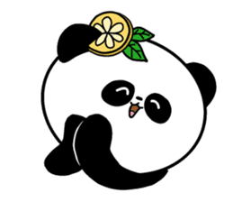 POKAPOKA PANDA sticker #11824822