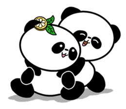 POKAPOKA PANDA sticker #11824827