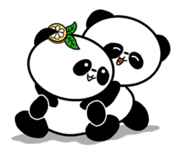 POKAPOKA PANDA sticker #11824827