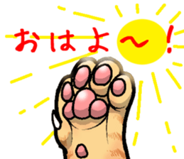 tabby cat paw sticker #11825622