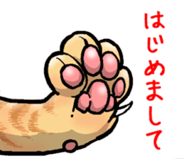 tabby cat paw sticker #11825627