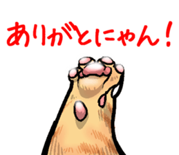 tabby cat paw sticker #11825648