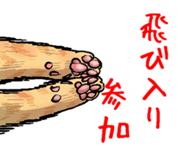 tabby cat paw sticker #11825652