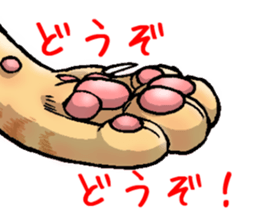 tabby cat paw sticker #11825659