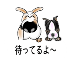 Sticker of the bingo of the beagle sticker #11826008