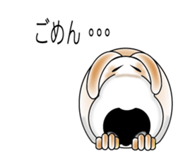 Sticker of the bingo of the beagle sticker #11826018