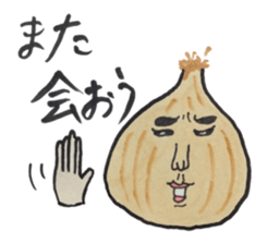 Every day onions sticker #11828558