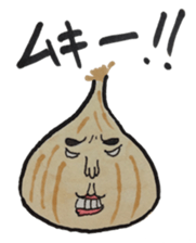 Every day onions sticker #11828568
