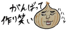 Every day onions sticker #11828569