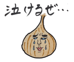 Every day onions sticker #11828574
