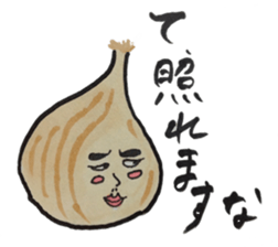 Every day onions sticker #11828588