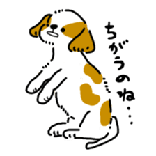 Cavalier Sue -chan sticker #11831107