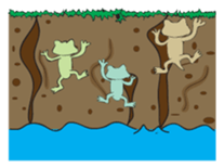 TROPA frogs 2 sticker #11831575