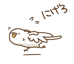 parakeet PARAKEET sticker #11831594