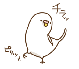 parakeet PARAKEET sticker #11831600