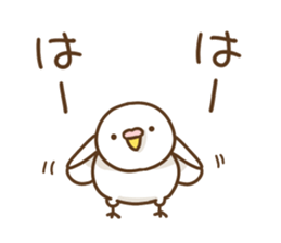 parakeet PARAKEET sticker #11831612