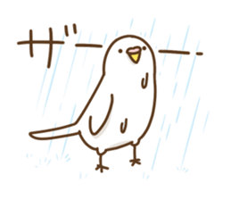 parakeet PARAKEET sticker #11831618