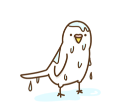 parakeet PARAKEET sticker #11831619